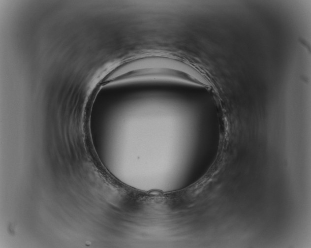 X0000099940104200806061528