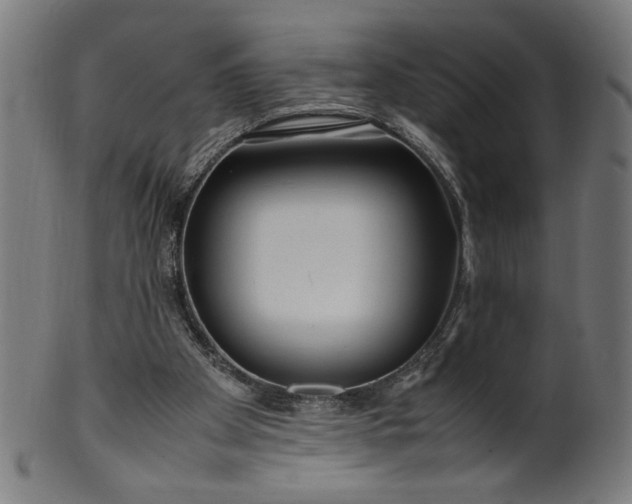 X0000099940105200806061528