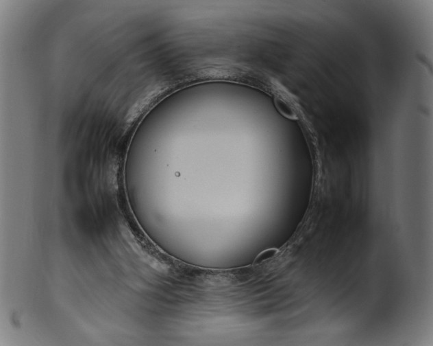 X0000099940106200806061528