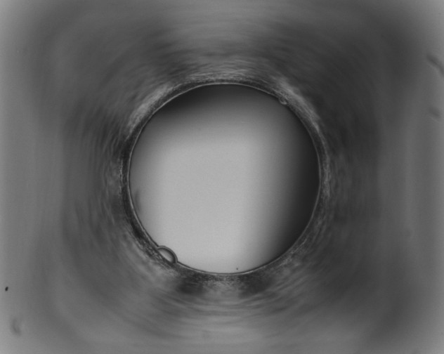 X0000099940107200806061528