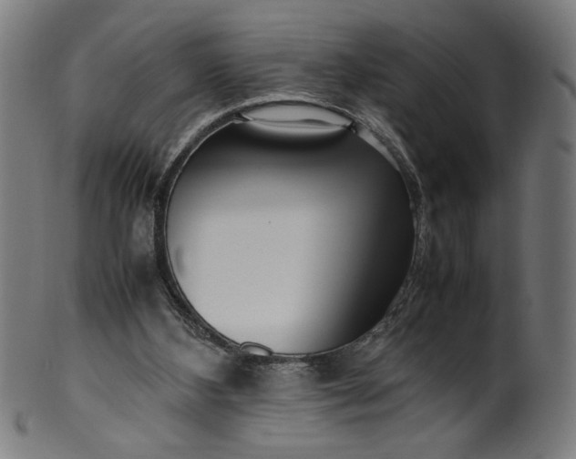 X0000099940108200806061528