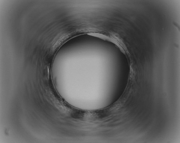 X0000099940109200806061528