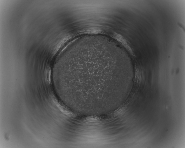 X0000099940110200806061528