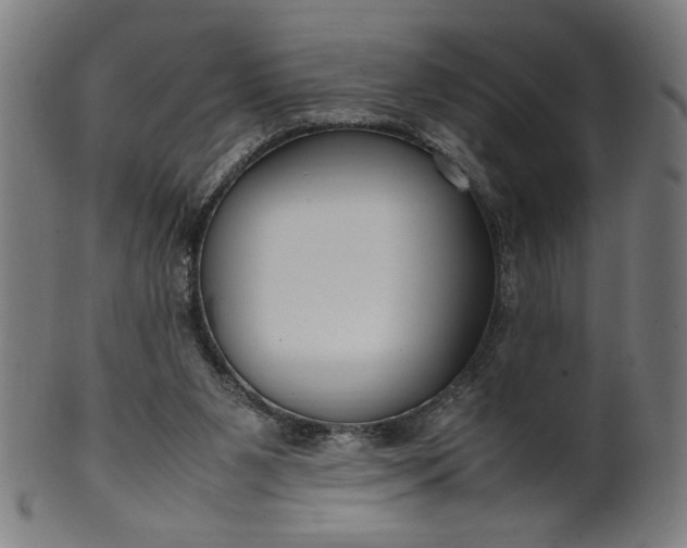 X0000099940111200806061528