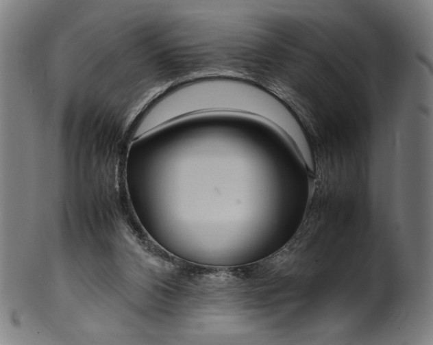 X0000099940112200806061528