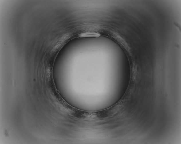 X0000099940113200806061528