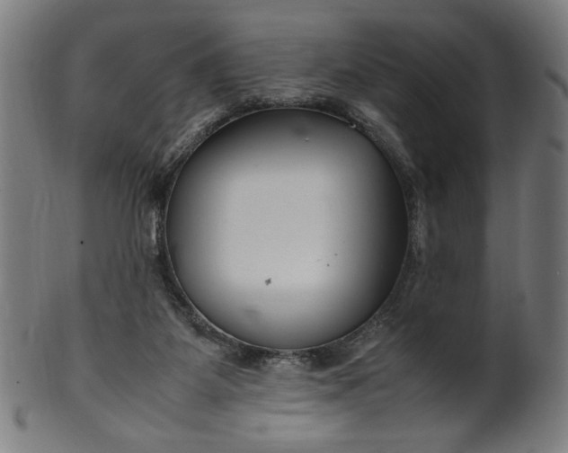 X0000099940115200806061528