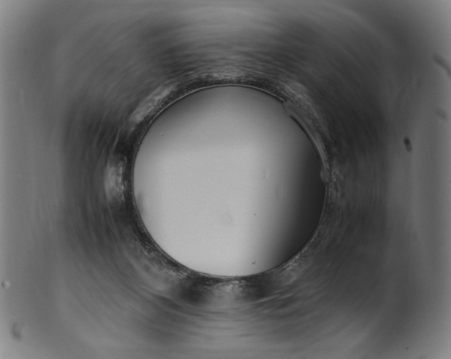X0000099940116200806061528