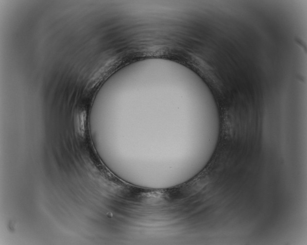 X0000099940118200806061528