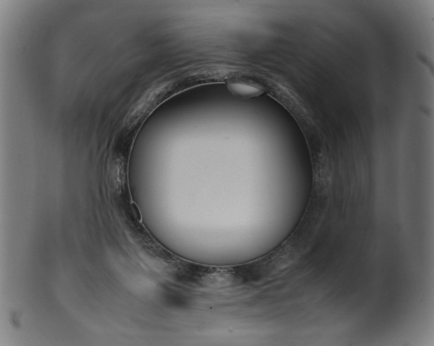 X0000099940119200806061528
