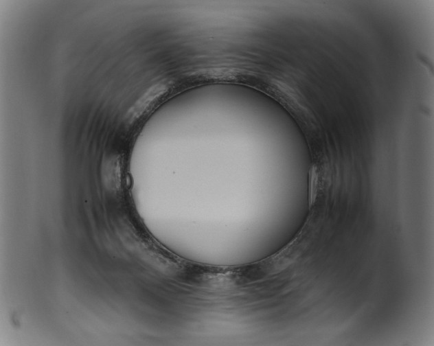 X0000099940120200806061528