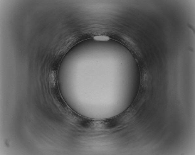 X0000099940121200806061528