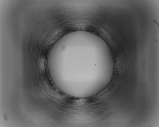 X0000099940122200806061528