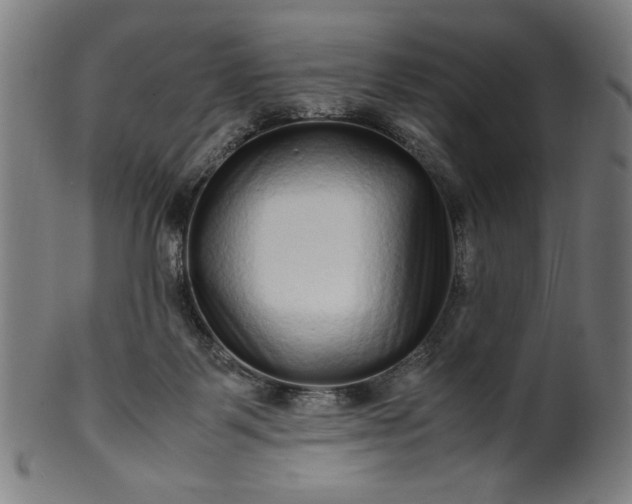 X0000099940123200806061528