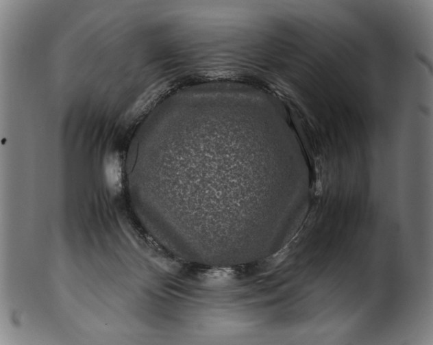 X0000099940124200806061528