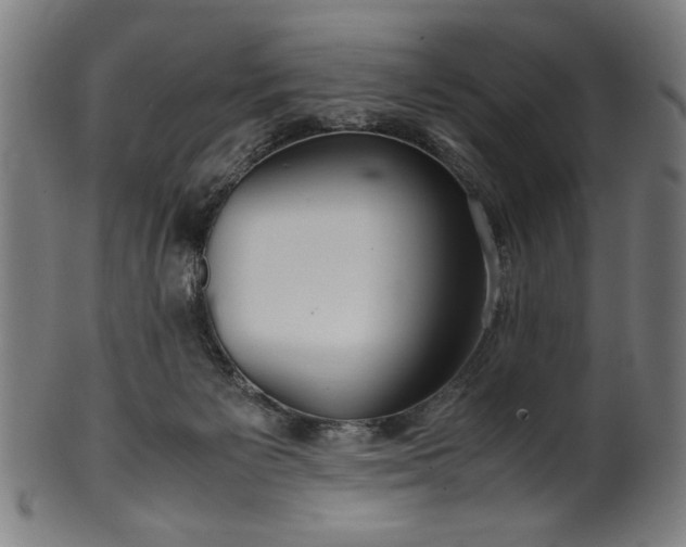 X0000099940125200806061528