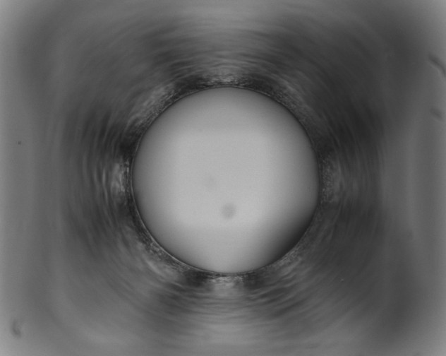 X0000099940126200806061527