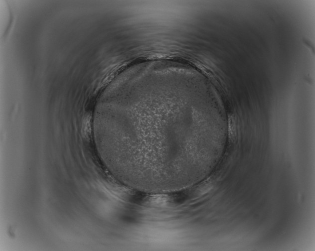 X0000099940127200806061527