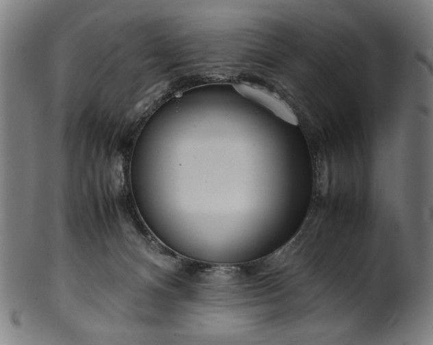 X0000099940128200806061527