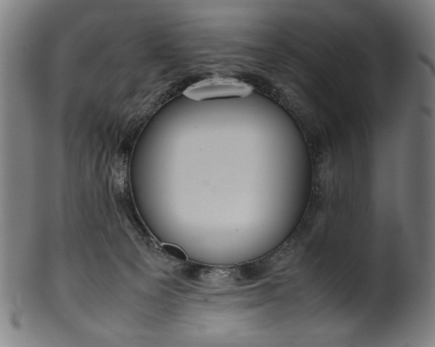 X0000099940129200806061527