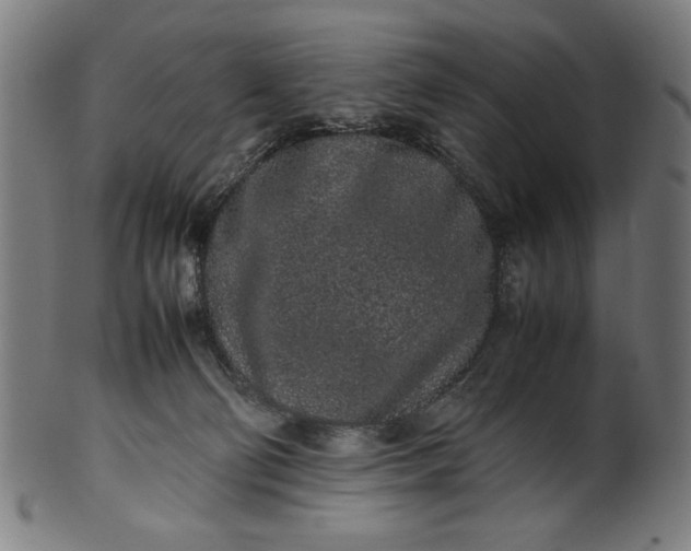 X0000099940130200806061527