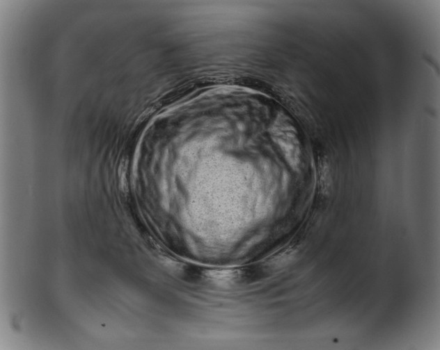 X0000099940131200806061527