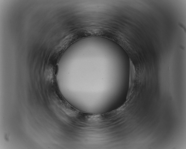 X0000099940132200806061527