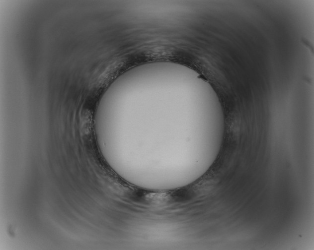 X0000099940133200806061527