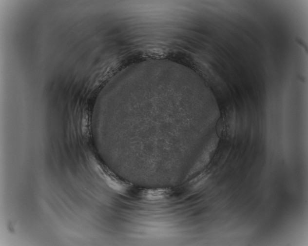 X0000099940134200806061527