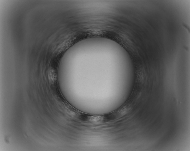 X0000099940135200806061527