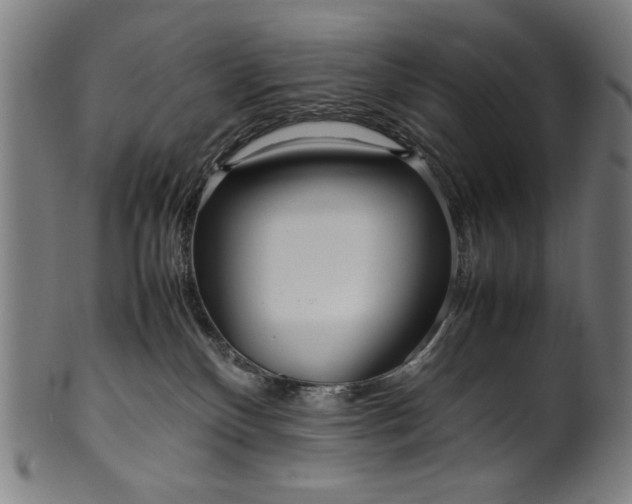 X0000099940136200806061527
