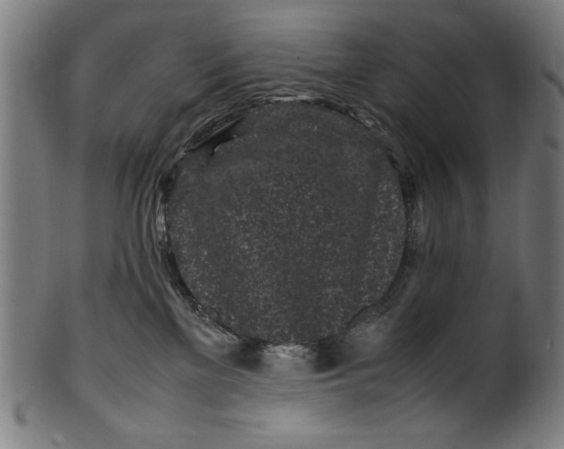 X0000099940137200806061527