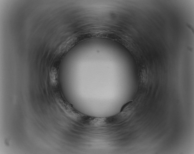 X0000099940138200806061527