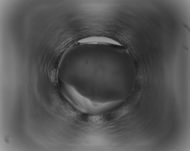 X0000099940139200806061527