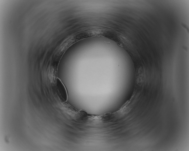 X0000099940140200806061527