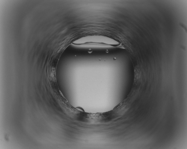 X0000099940141200806061527