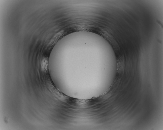 X0000099940142200806061527