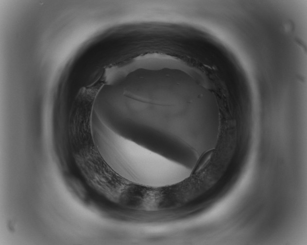 X0000099940143200806061527