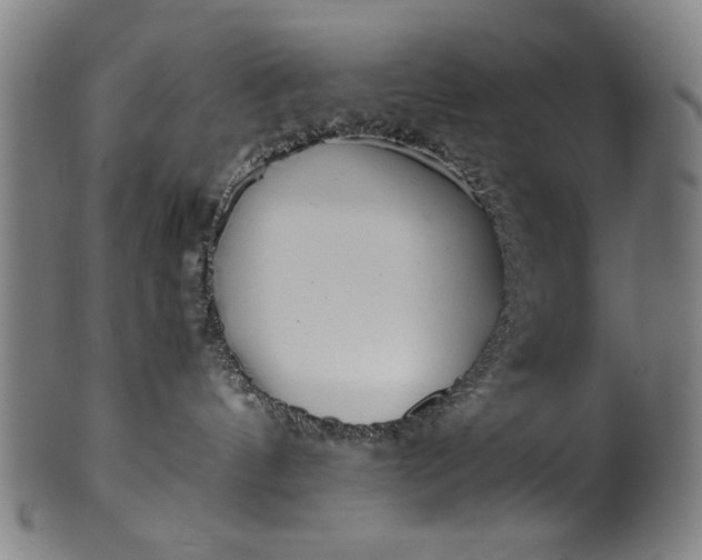 X0000099940144200806061527