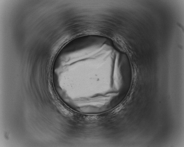 X0000099940145200806061526