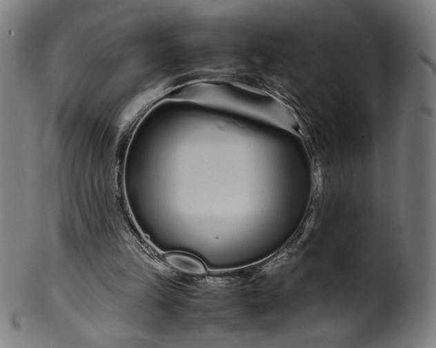 X0000099940149200806061526