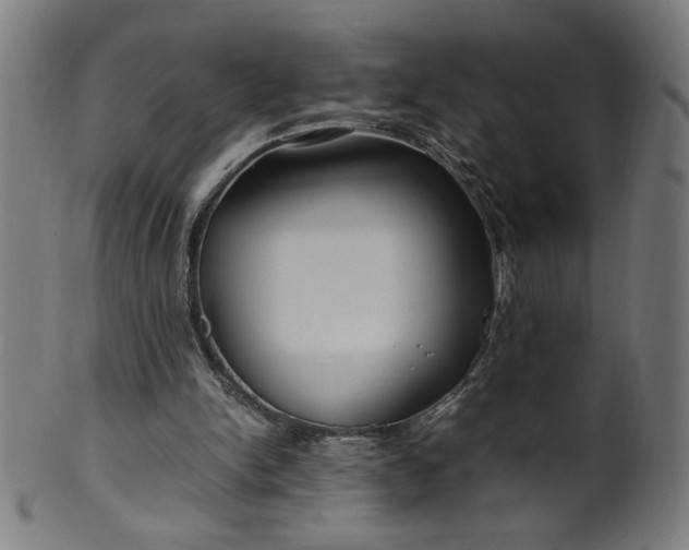 X0000099940150200806061526