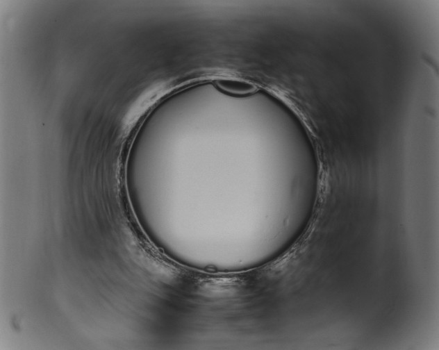 X0000099940151200806061526