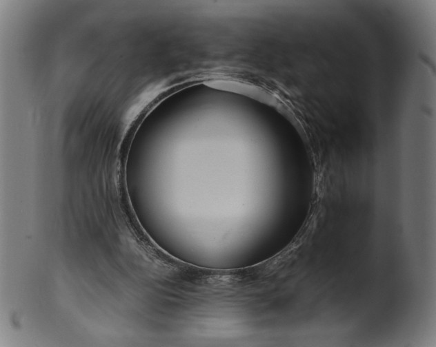 X0000099940152200806061526