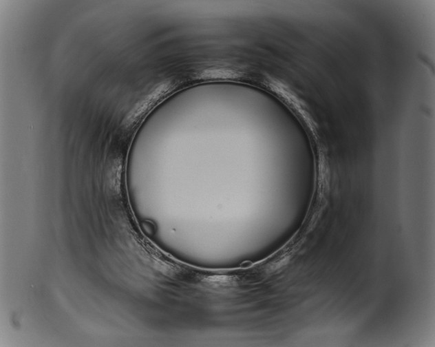X0000099940153200806061526