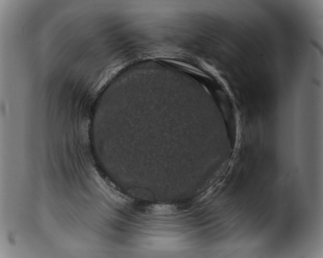 X0000099940154200806061526