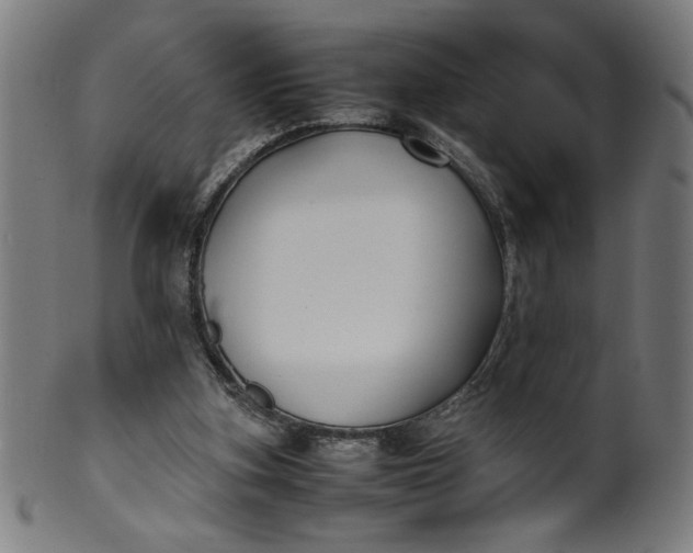 X0000099940155200806061527