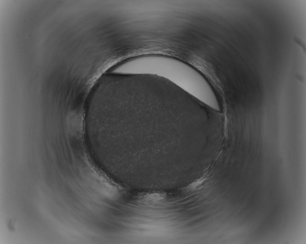 X0000099940156200806061527