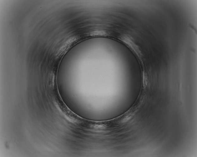 X0000099940157200806061527