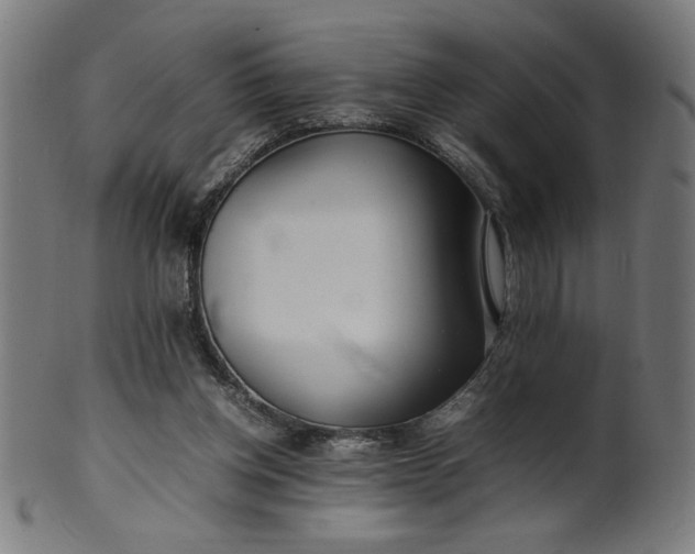 X0000099940158200806061527